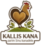 logo1 transparent kallis kana
